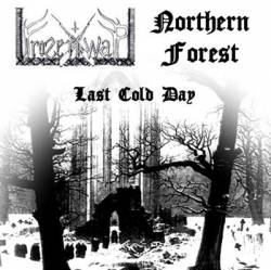 Northern Forest : Last Cold Day